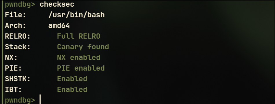 pwndbg checksec output — all protections enabled
